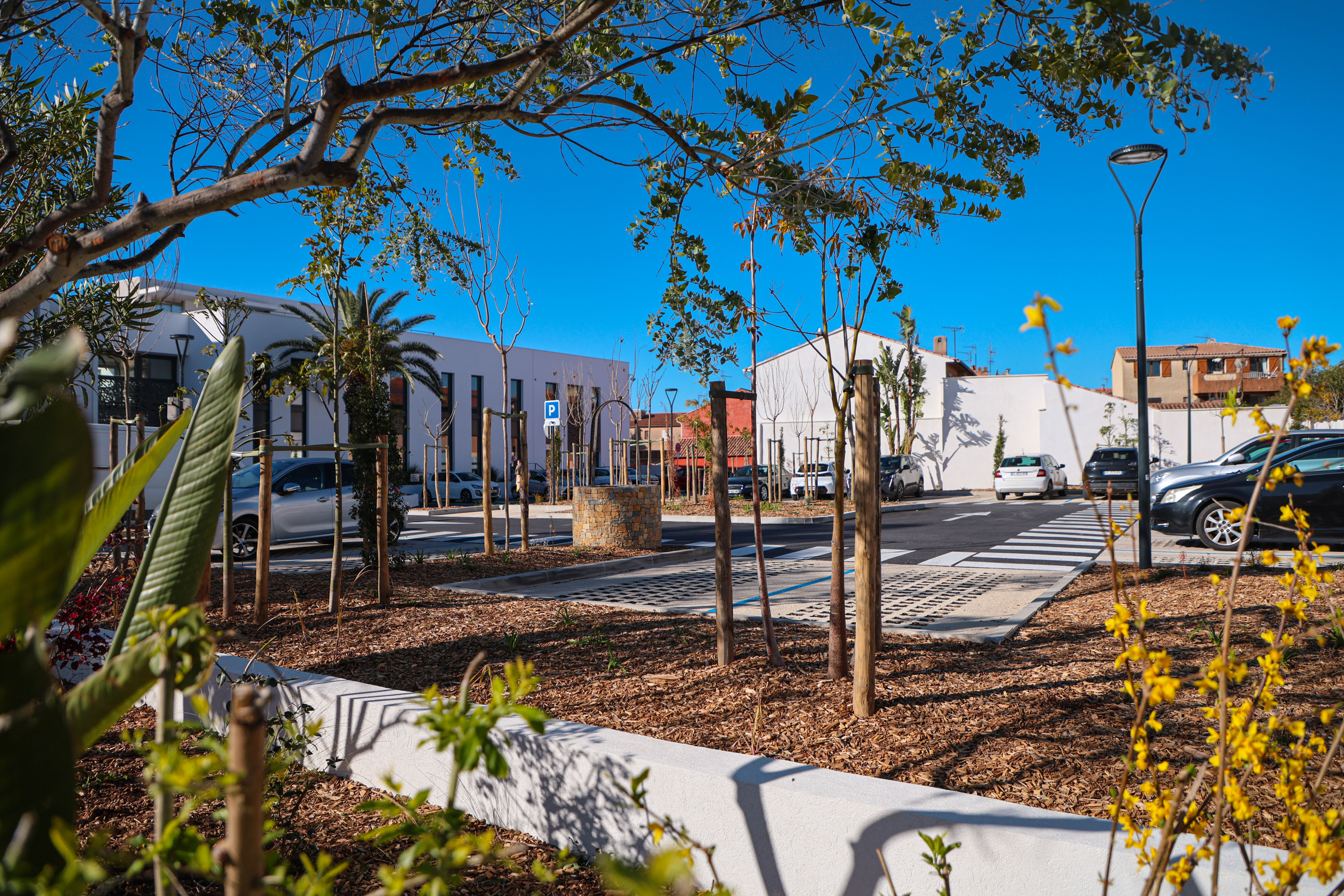 04 01 2026 IMG 2605 PARKING ALLIES OX