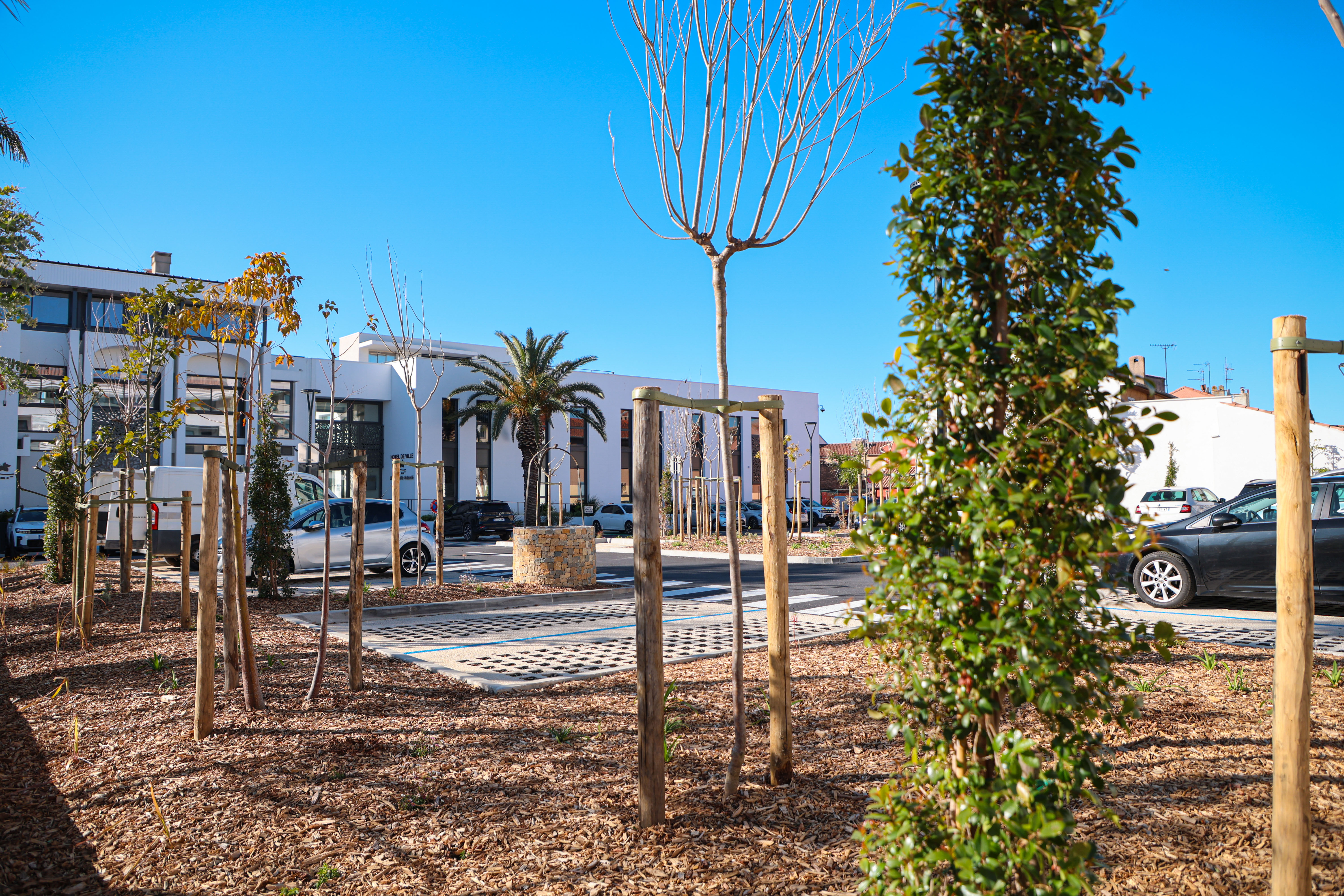 04 01 2026 IMG 2614 PARKING ALLIES OX